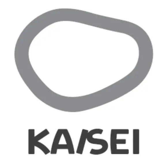 kabushiki-kaisei