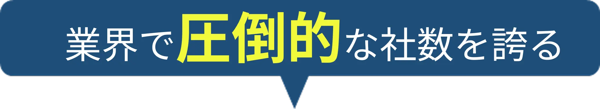 業界で圧倒的な社数を誇る